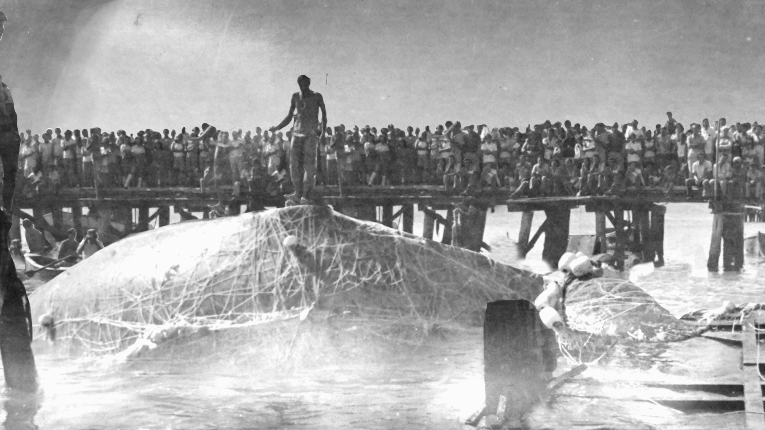 LA TIERRA DE LA BALLENA_STILL 4